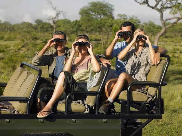 Clients on a Safari with binocolours they booked through a tour operator that partnered with Prolific VA